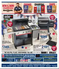 Ace Hardware flyer week 21 Page 6