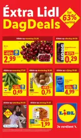 Lidl folder week 22 Pagina 2