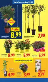 Lidl folder week 22 Pagina 33