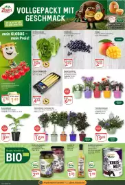Globus Prospekt woche 22 Seite 4