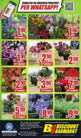 B1 Discount Baumarkt Prospekt woche 21 Seite 12