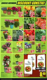 B1 Discount Baumarkt Prospekt woche 21 Seite 5