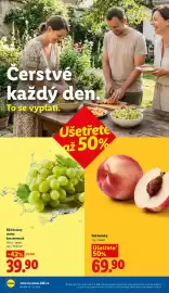 Lidl leták Strana 10