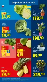 Lidl leták Strana 11
