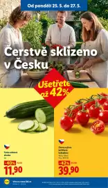 Lidl leták Strana 9