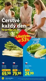 Lidl leták Strana 10