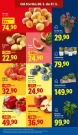 Lidl leták Strana 11