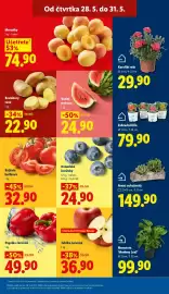 Lidl leták Strana 11