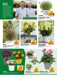 Toom Baumarkt Prospekt woche 21 Seite 19
