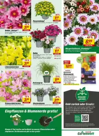 Toom Baumarkt Prospekt woche 21 Seite 20