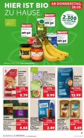 Kaufland Prospekt Seite 46
