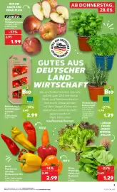 Kaufland Prospekt Seite 8