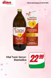 Dino gazetka tydzień 21 Strona 13