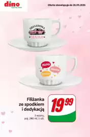Dino gazetka tydzień 21 Strona 5