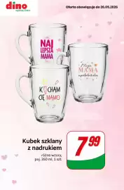 Dino gazetka tydzień 21 Strona 7