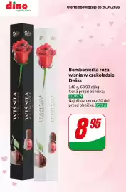 Dino gazetka tydzień 21 Strona 8