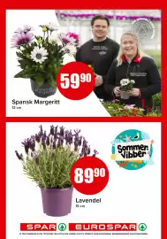 Spar kundeavis Side 17