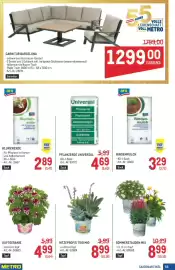 Metro Flugblatt Seite 59