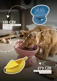 Sinsay leták Strana 4