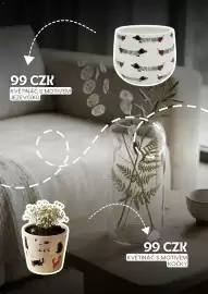 Sinsay leták Strana 5