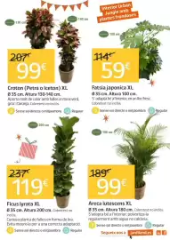 Catálogo Jardiland Página 3