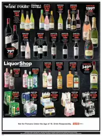 Checkers catalogue Page 4