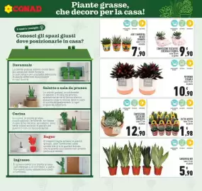 Volantino Conad Pagina 19