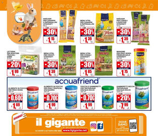 Volantino Il Gigante Pagina 8