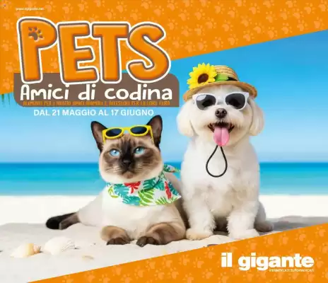 Volantino Il Gigante (valido fino al 17-06)