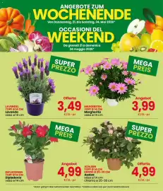 Volantino Eurospar Pagina 3