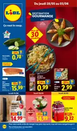 Catalogue Lidl semaine 22 page 1