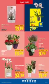 Catalogue Lidl semaine 22 page 27