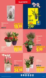 Catalogue Lidl semaine 22 page 27