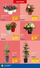 Catalogue Lidl semaine 22 page 28