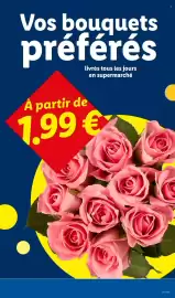 Catalogue Lidl semaine 22 page 29