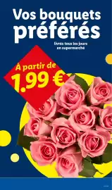 Catalogue Lidl semaine 22 page 29