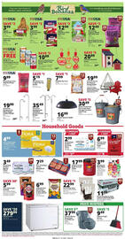 Rural King weekly ad week 21 Page 10