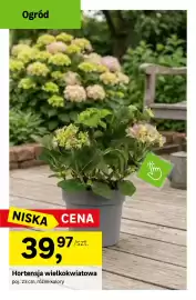Leroy Merlin gazetka Strona 3