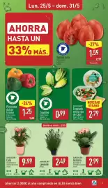 Folleto ALDI semana 22 Página 3