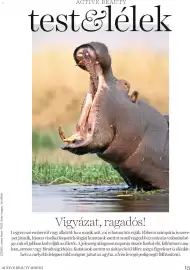 DM akciós újság Oldal 13