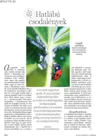 DM akciós újság Oldal 80