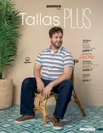 Catálogo Andrea Página 43