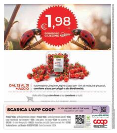Volantino Ipercoop Pagina 32