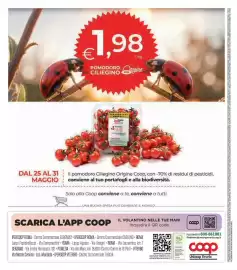Volantino Ipercoop Pagina 32