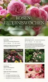 Pflanzen Kölle Prospekt Seite 8