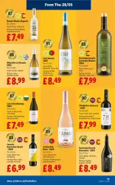 Lidl leaflet week 22 Page 13
