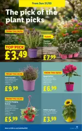 Lidl leaflet week 22 Page 23