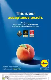 Lidl leaflet week 22 Page 27