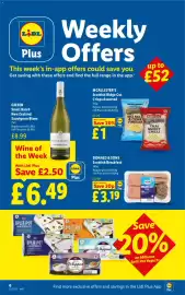 Lidl leaflet week 22 Page 6