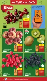 ALDI folder week 23 Pagina 2